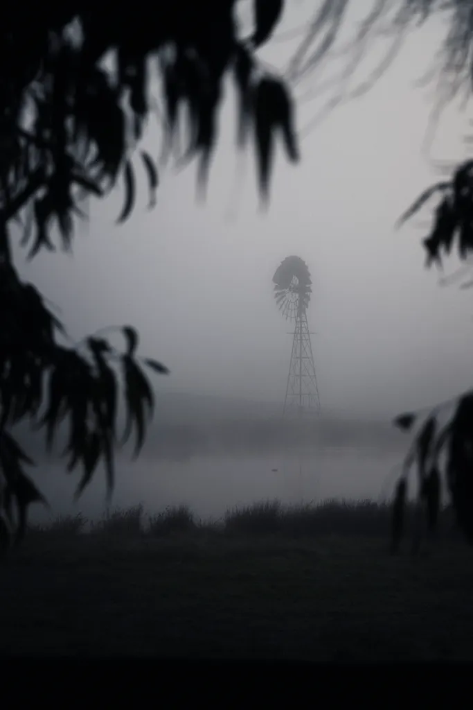 A windmill stands alone in dense fog, framed by hanging willow branches in the foreground.