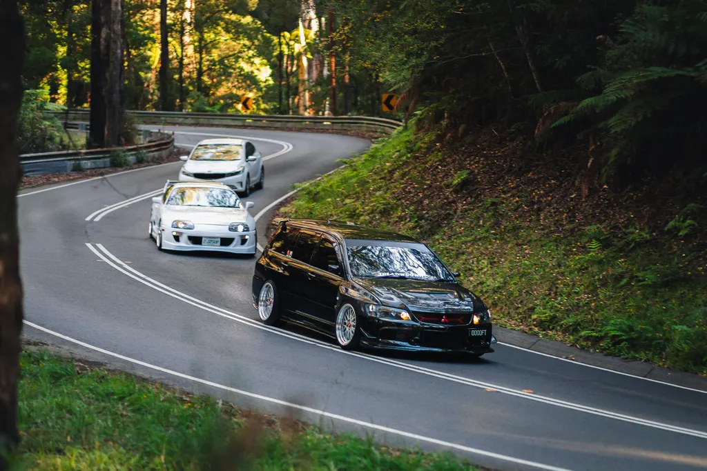 Three vehicles navigate a winding forest road lined with tall trees and dense foliage, with a black sports car leading two white cars through the curves.