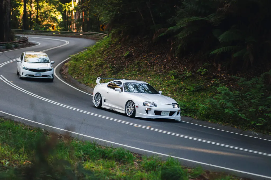 Two cars navigate a winding forest road with dense green vegetation on both sides.