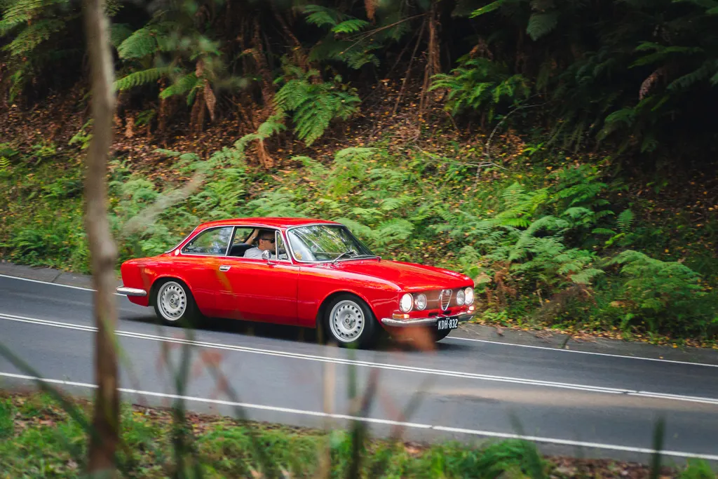 A red Alfa Romeo sports saloon drives along a forested road lined with ferns and trees.