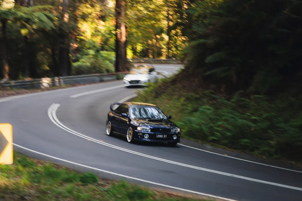 Two cars navigating a winding forest road with motion blur and dappled sunlight through trees.