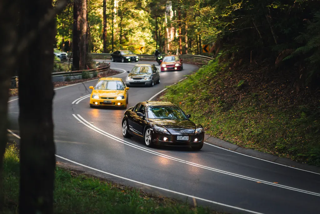 A black sports car leads a convoy of vehicles through a winding forest road lined with tall trees.