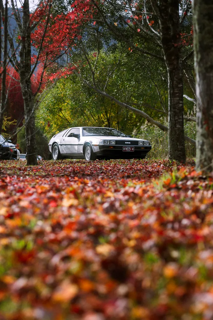White DeLorean parked beneath autumn trees with fallen red leaves covering the ground.