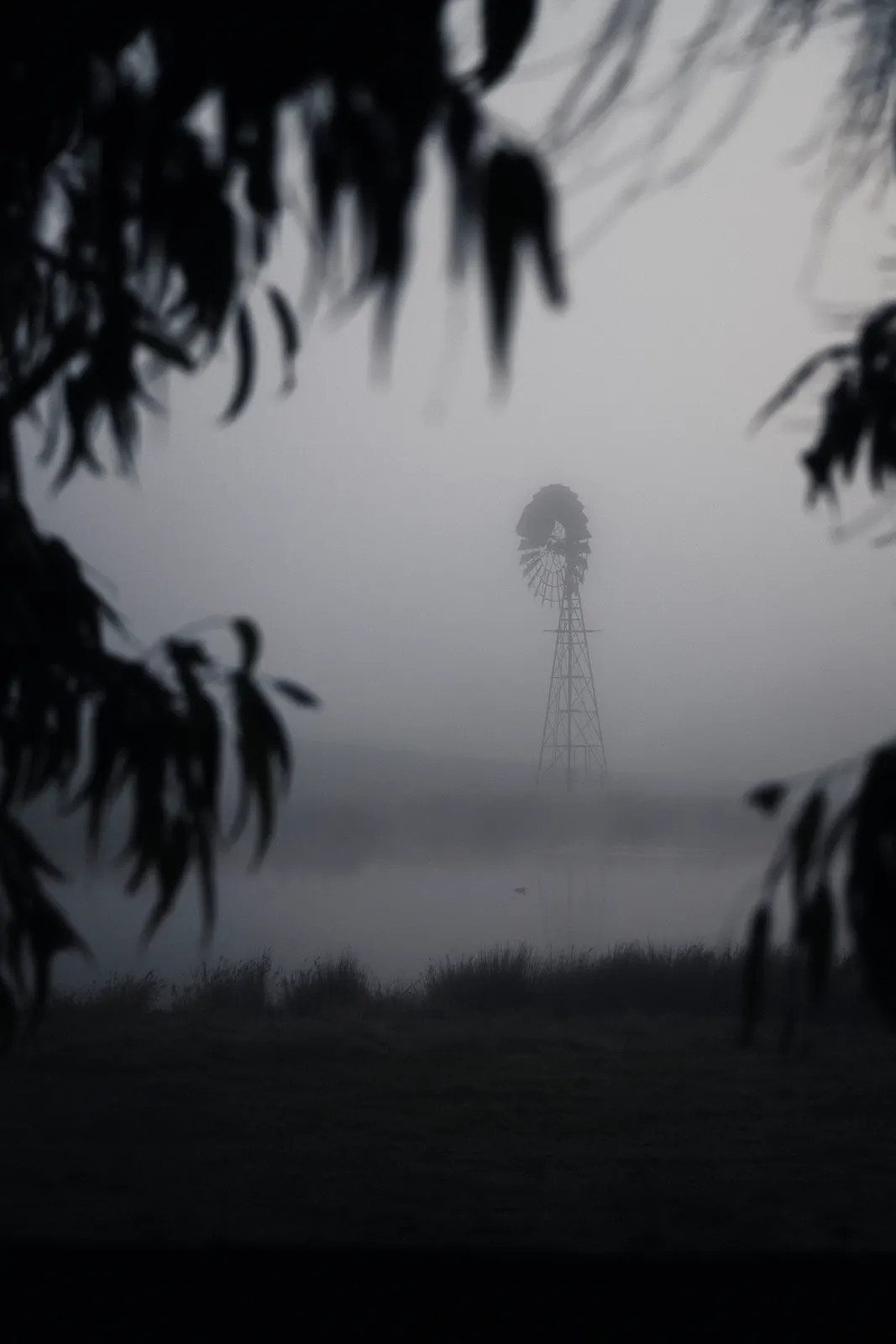 A windmill stands alone in dense fog, framed by hanging willow branches in the foreground.