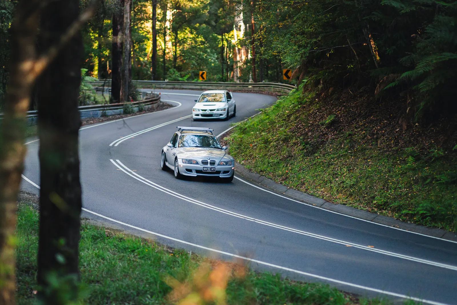 Two white BMW sports cars navigate a winding forest road with dense green vegetation on both sides.