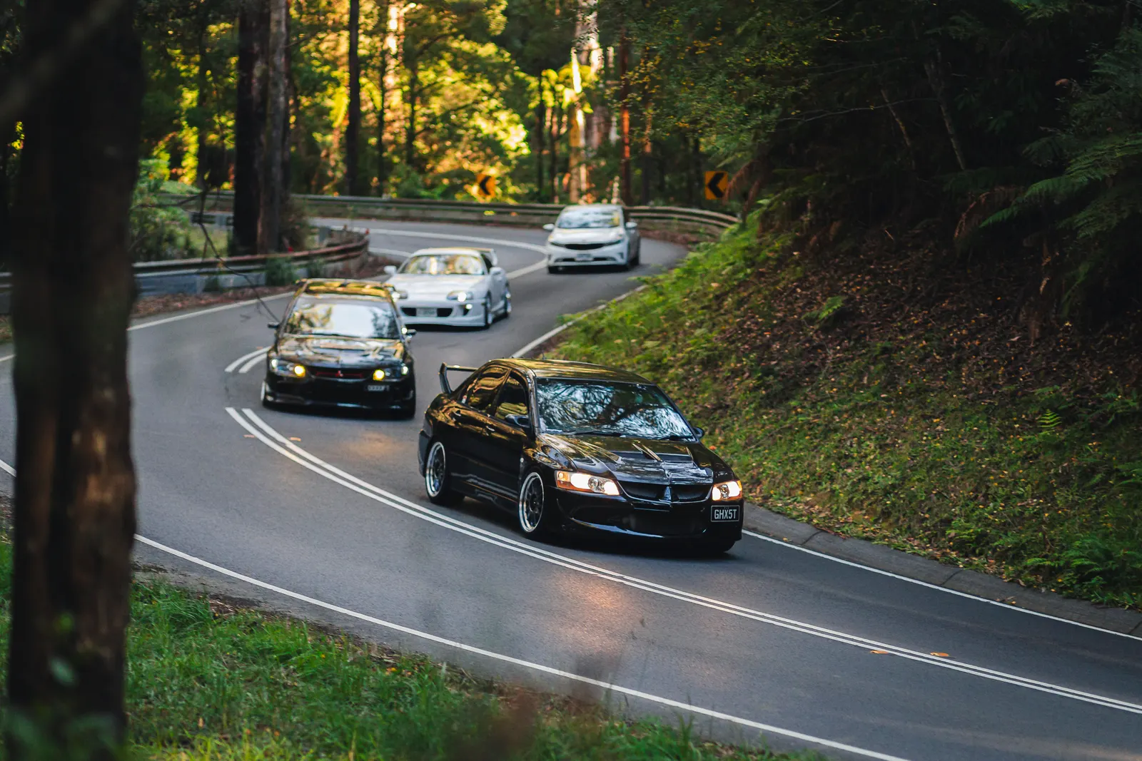 Three cars navigate a forested road lined with tall trees and dense green vegetation.