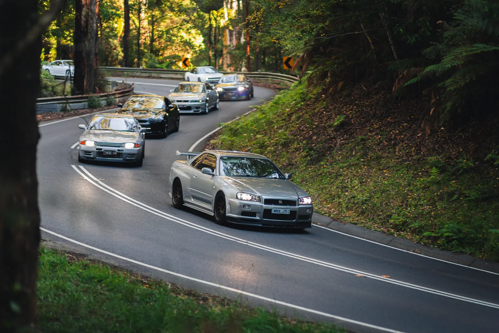 A silver sports car leads a convoy of vehicles through a forested mountain road lined with tall trees and dense foliage.