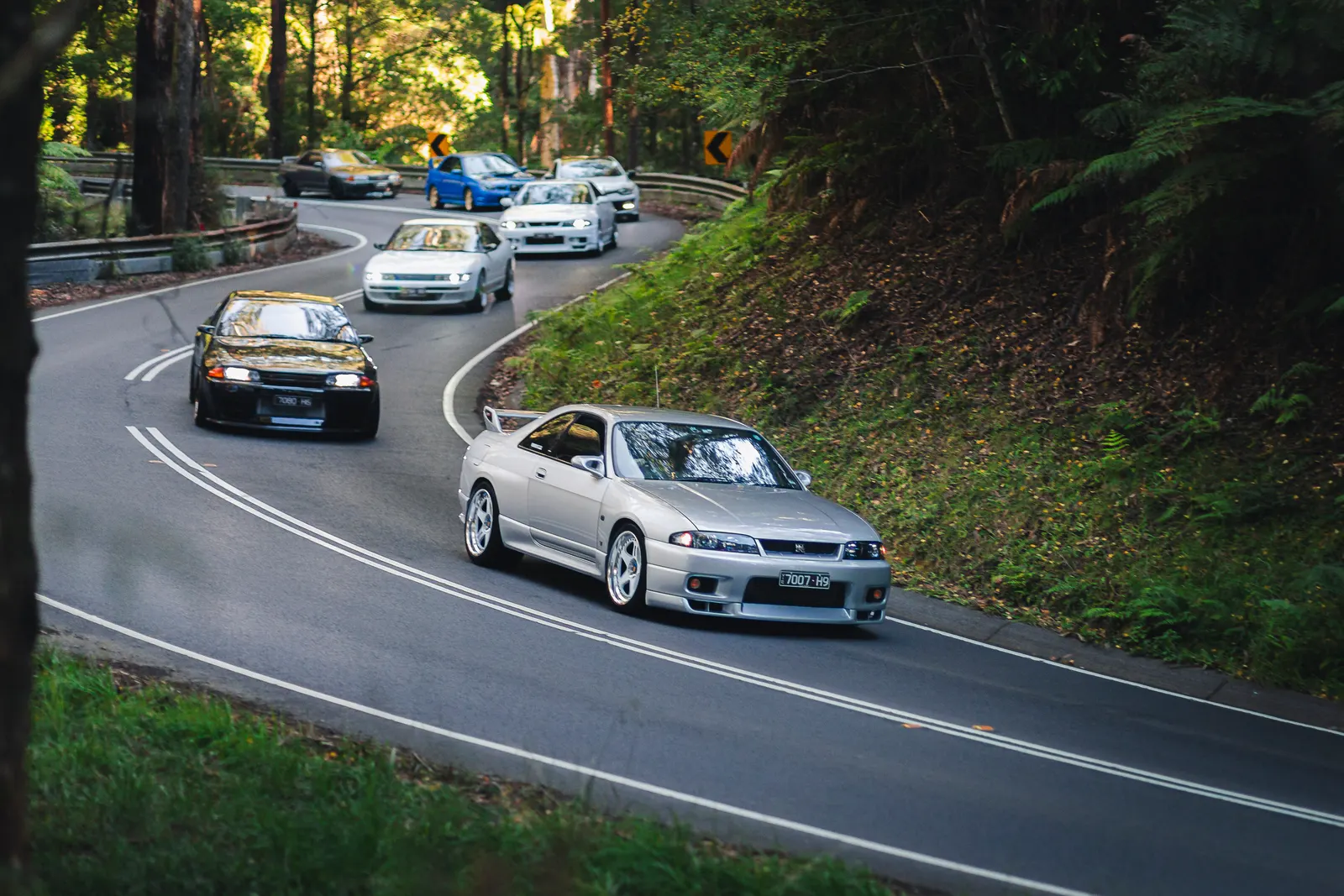 A line of performance cars navigates a winding road through dense forest, led by a silver coupe in the foreground.