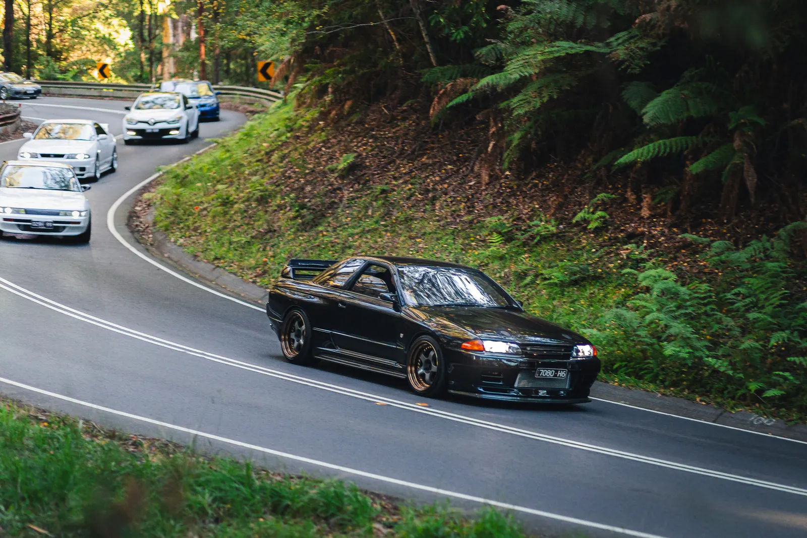 A black sports car leads a convoy of vehicles through a winding forest road lined with ferns and dense green vegetation.