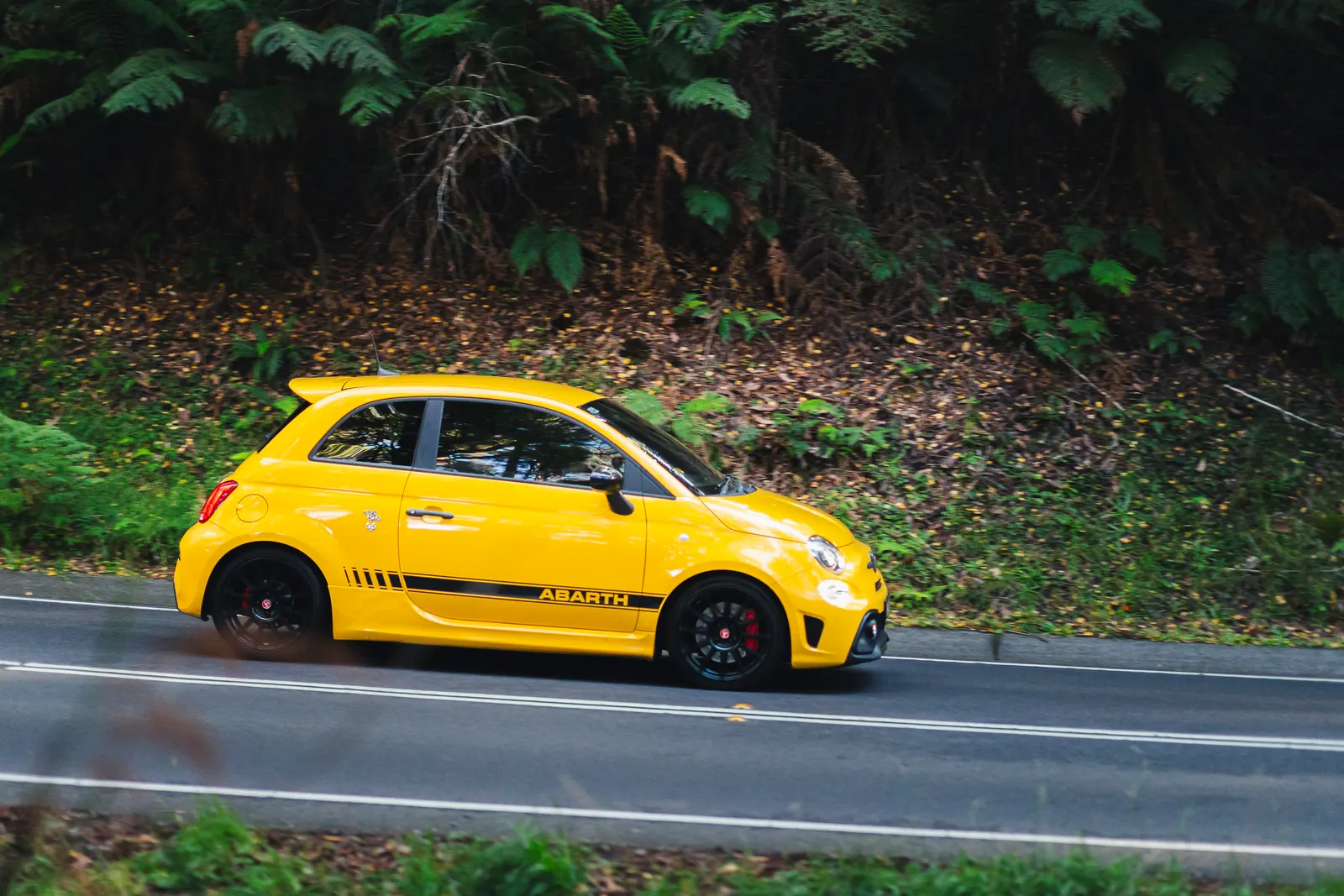 Yellow Abarth 595 hatchback driving on a rural road with dense green foliage and fallen leaves in the background.