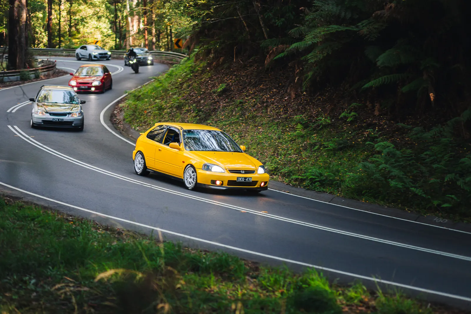 A yellow sports car leads a convoy of vehicles through a winding forest road lined with dense green vegetation.