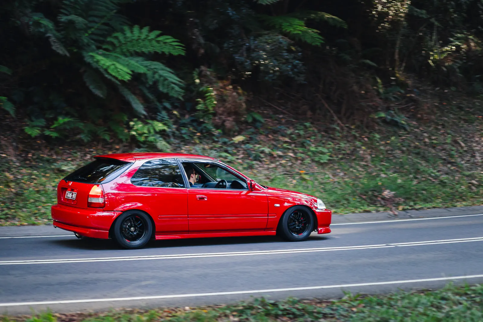 Red hatchback car driving on a forest road with dense green foliage in the background.