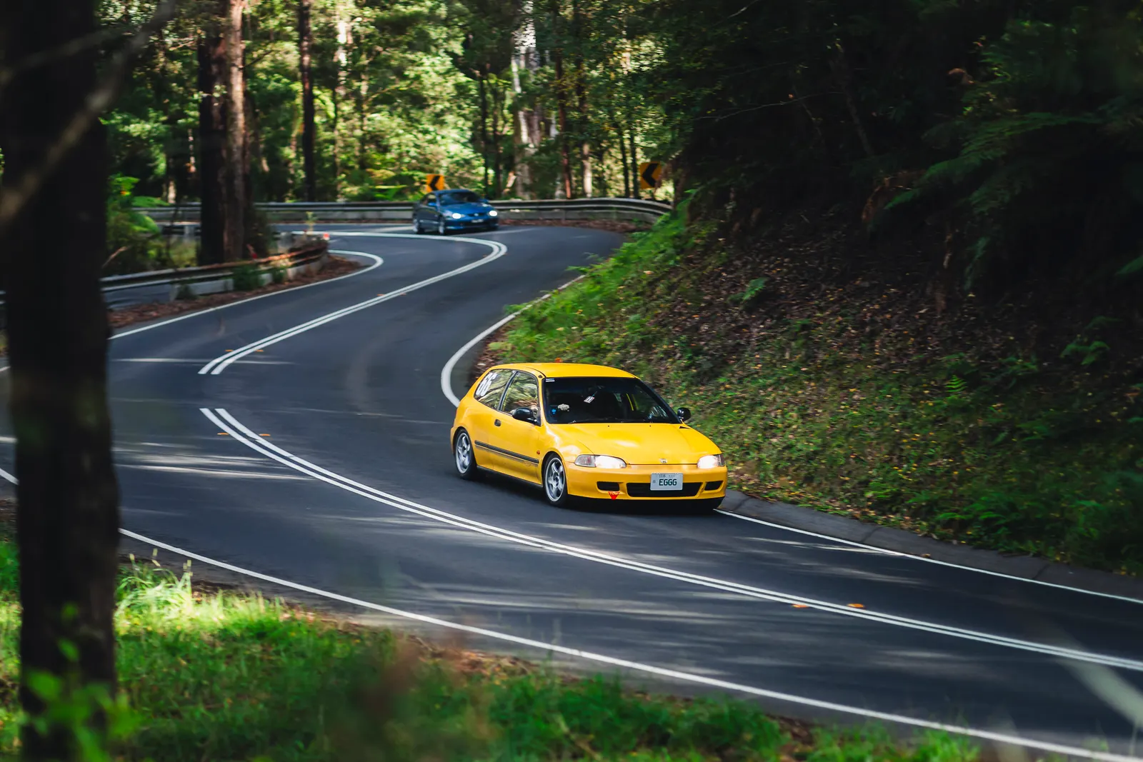 Yellow sports car navigating a curved forest road with a blue car visible in the distance.